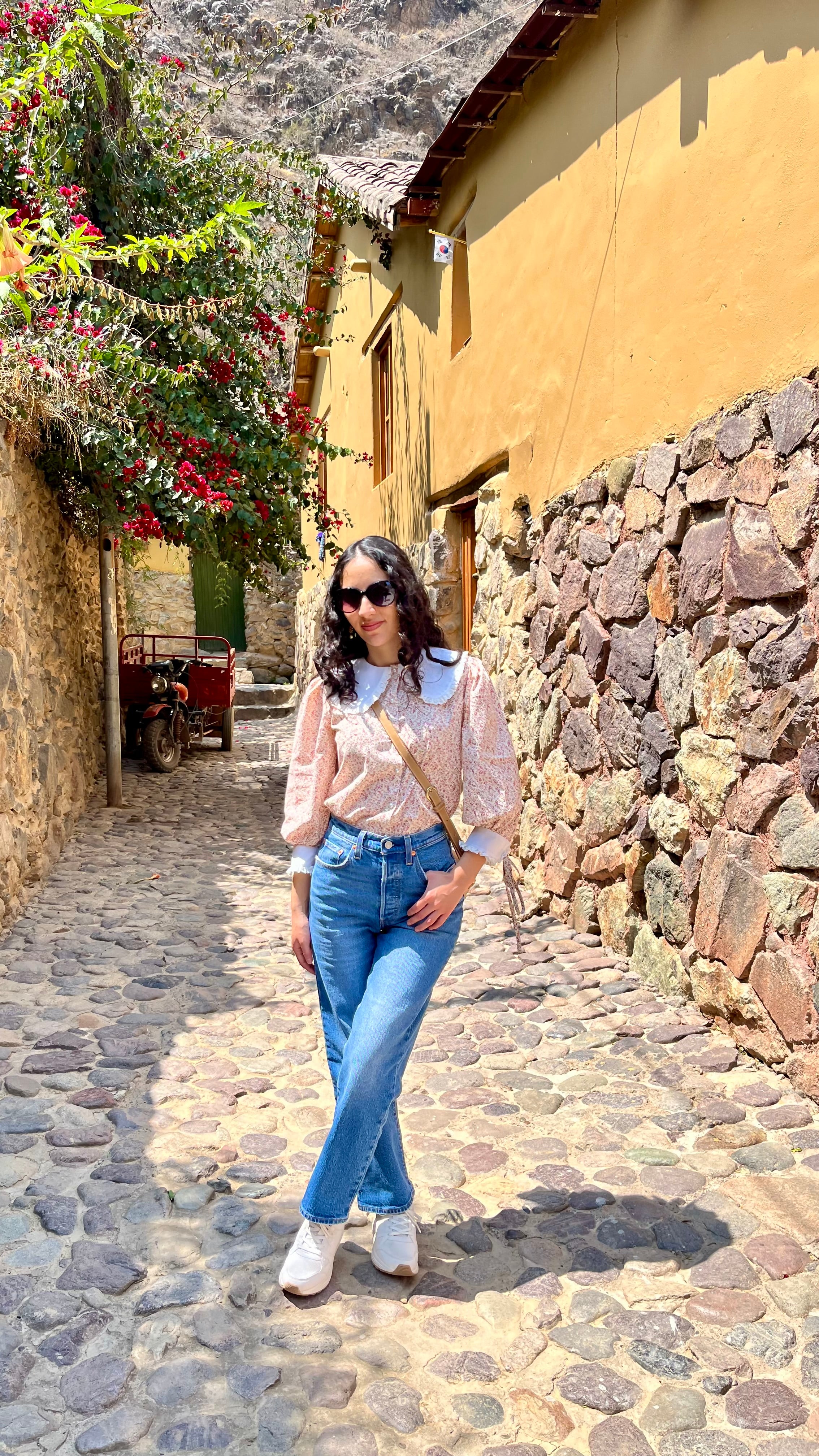 Blusa Anastasia Rosa